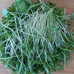 Mixed Punnet of Microherbs