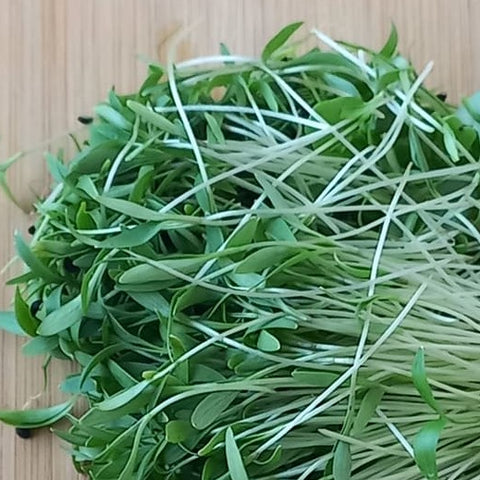 Mixed Punnet of Microherbs