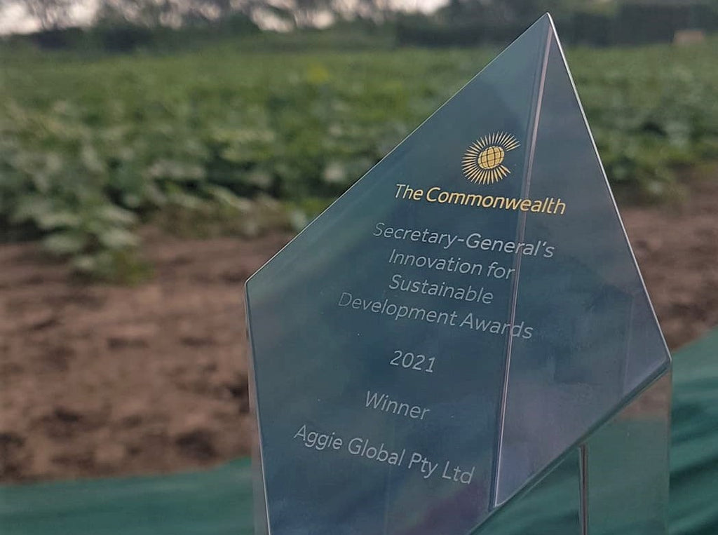 Aggie Wins Commonwealth Innovation Award for Sustainable Development