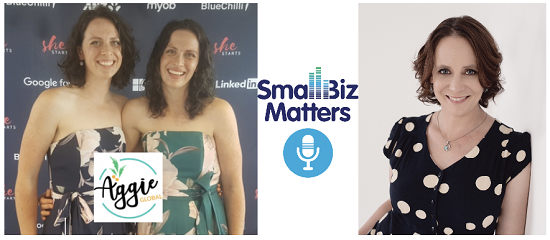 Radio Talk & Podcast with Small Biz Matters