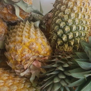 Pineapple-Fruit-Tiko Tadra-kg-Aggie Global Fiji