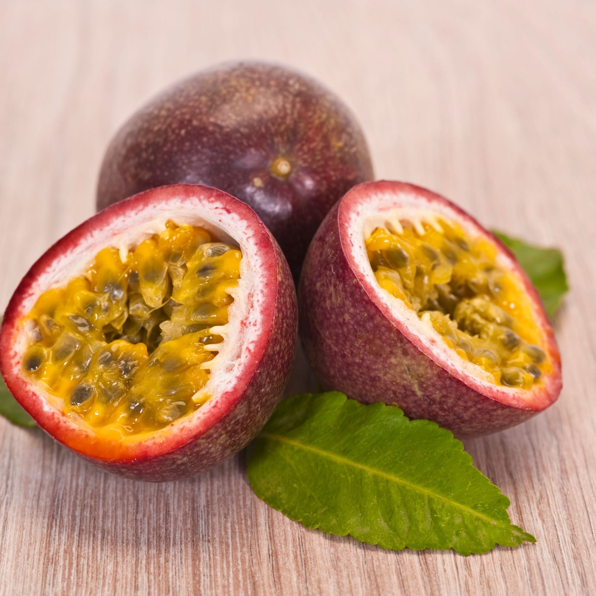 Passionfruit Plants (Prem's)