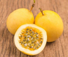 Passionfruit Plants (Prem's)